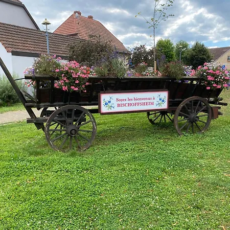 Gite Au Pied Du Bischenberg Bischoffsheim Exterior photo