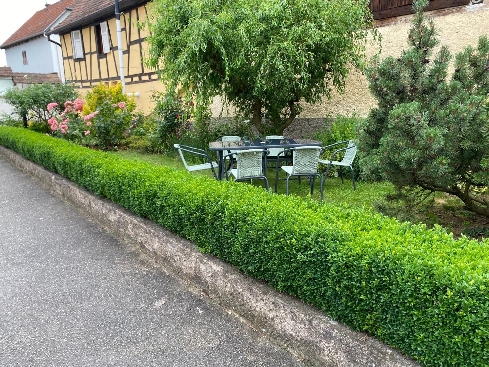 Au Pied Du Bischenberg Bischoffsheim