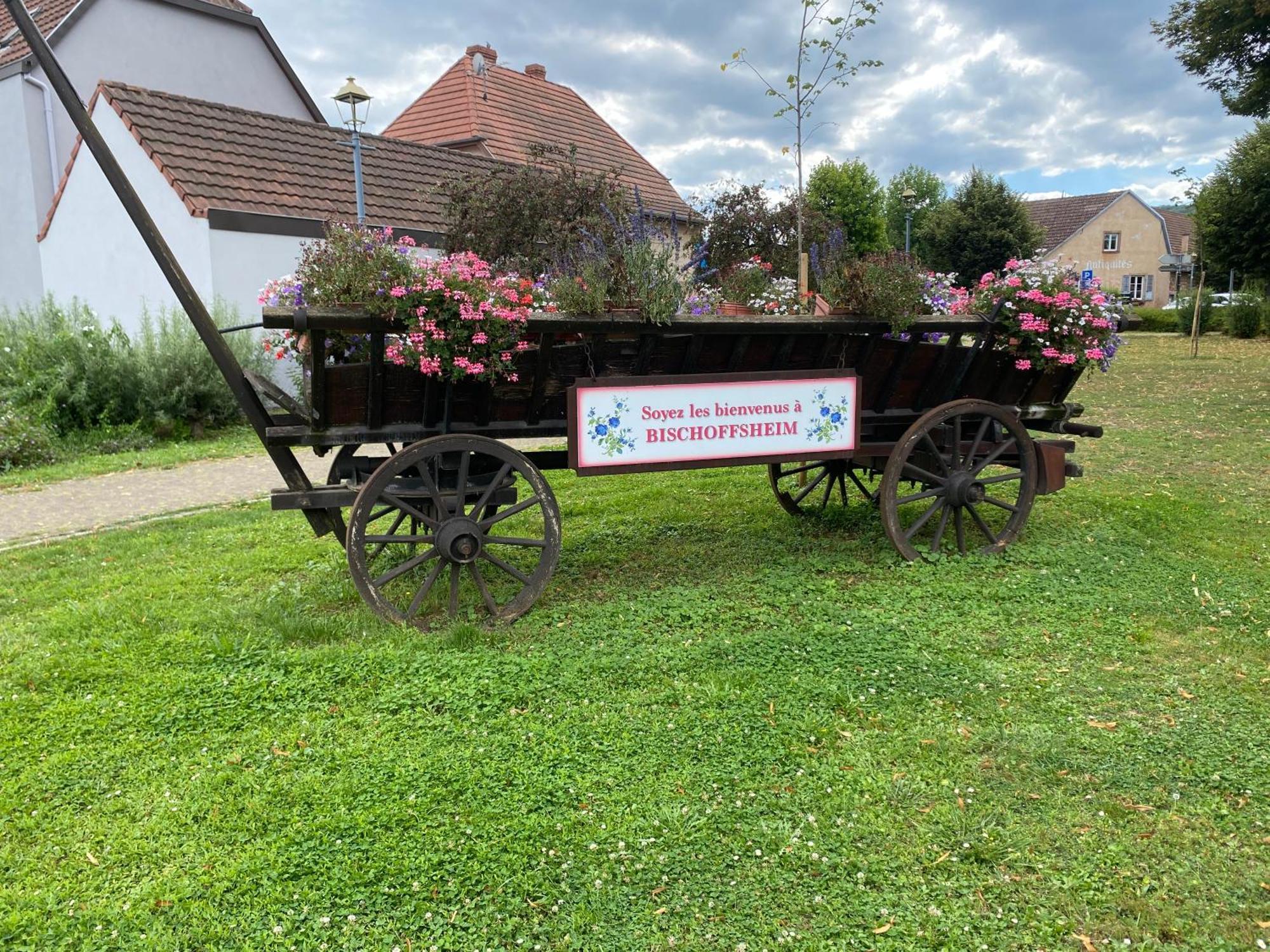 Hébergement de vacances Au Pied Du Bischenberg *