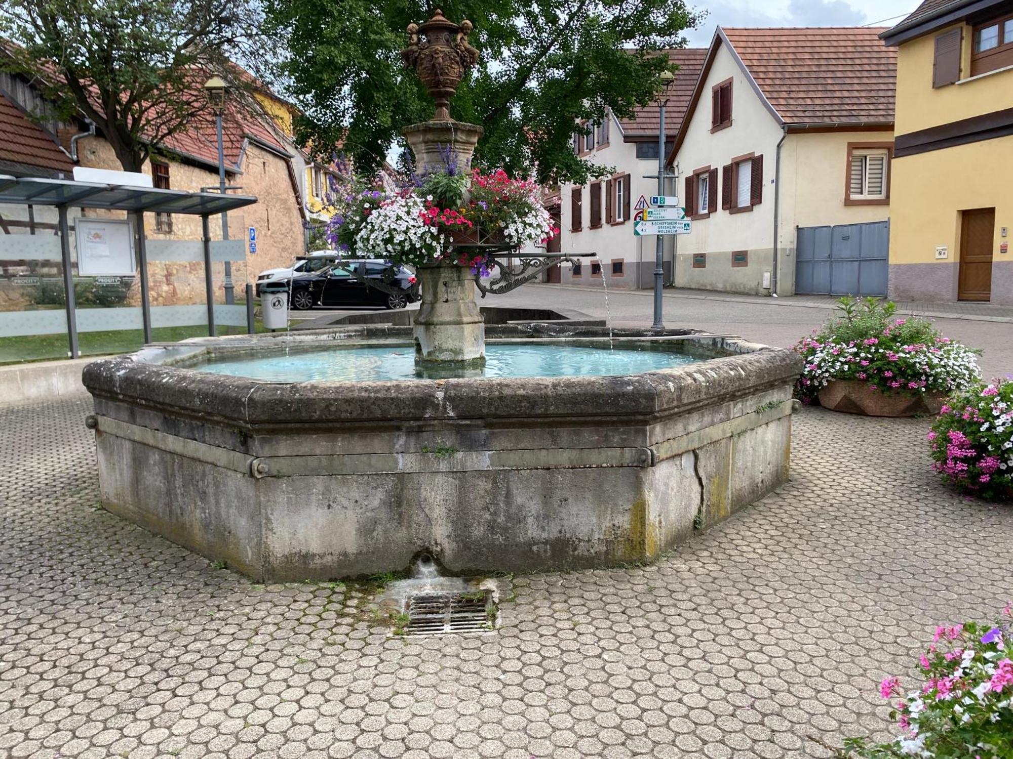 Hébergement de vacances Au Pied Du Bischenberg Bischoffsheim