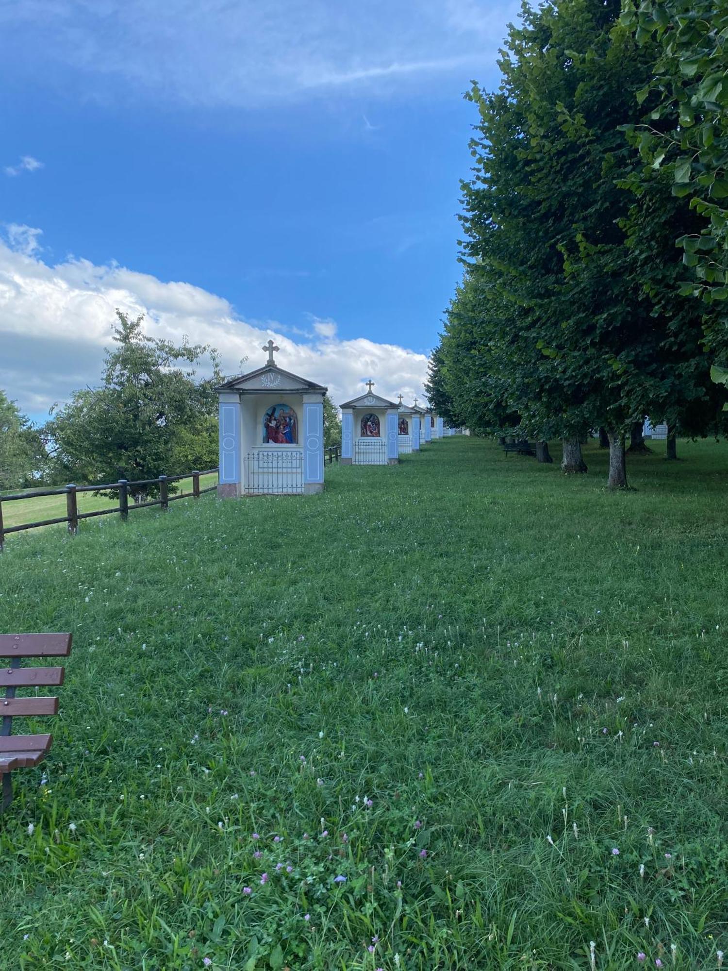 Au Pied Du Bischenberg * Bischoffsheim